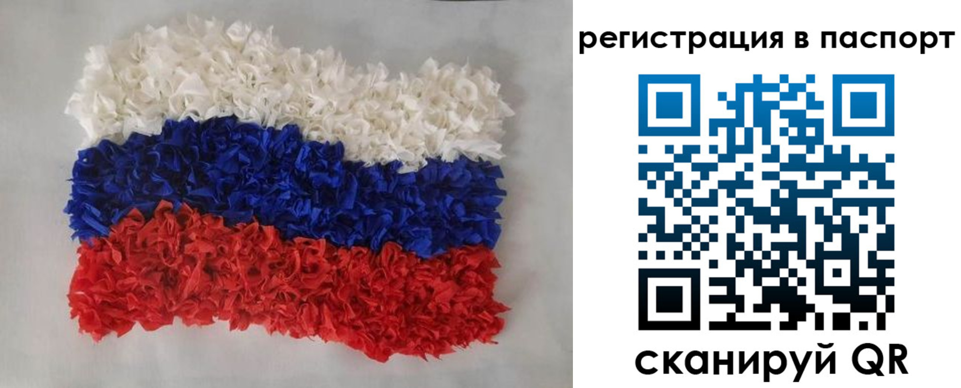 прописка регистрация в Костромской области